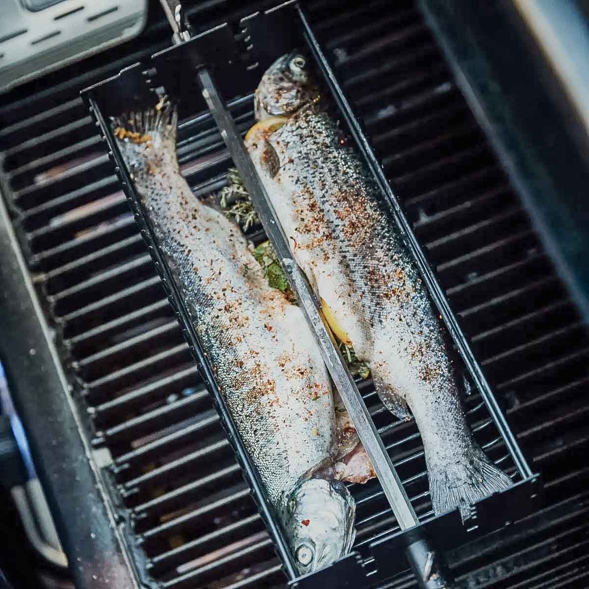 Santos Drehspie§-Korb Set Drehspie§e eckig Santos Drehspie§-Korb Set Drehspie§e eckig