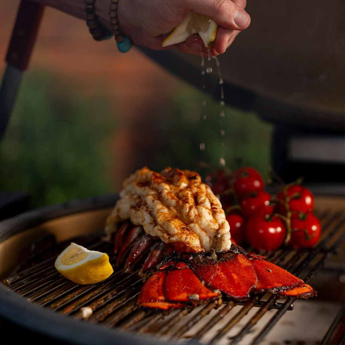 Kamado Joe Big Joe Konnected