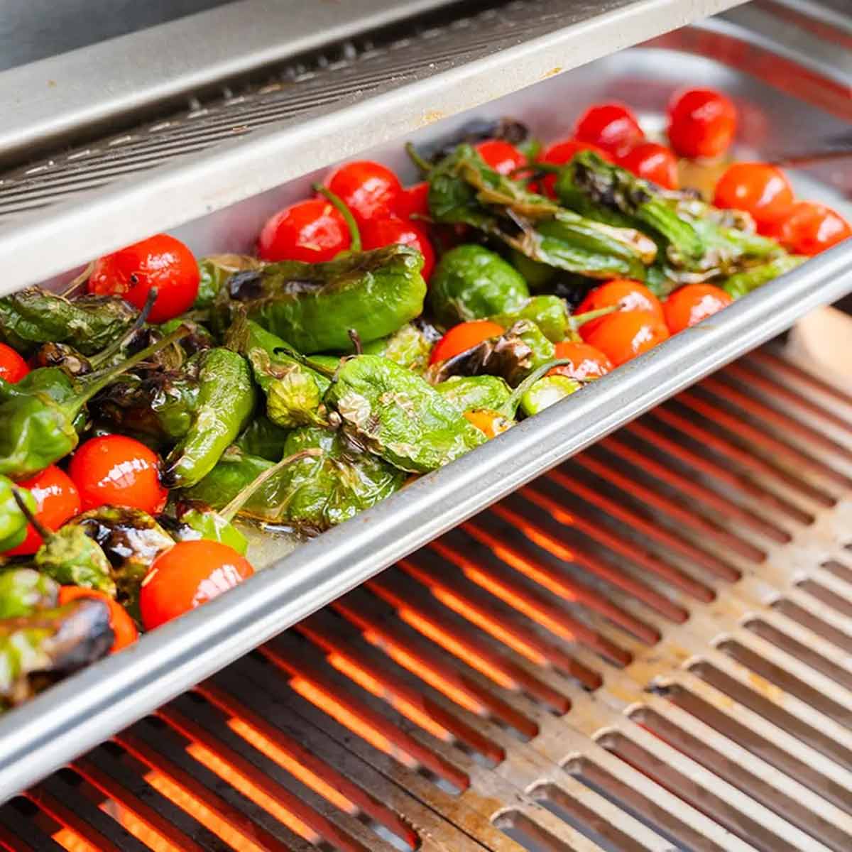 Flammkraft Block Ds Anwendung mit OfenDock System: Gemüse in Edelstahlschale